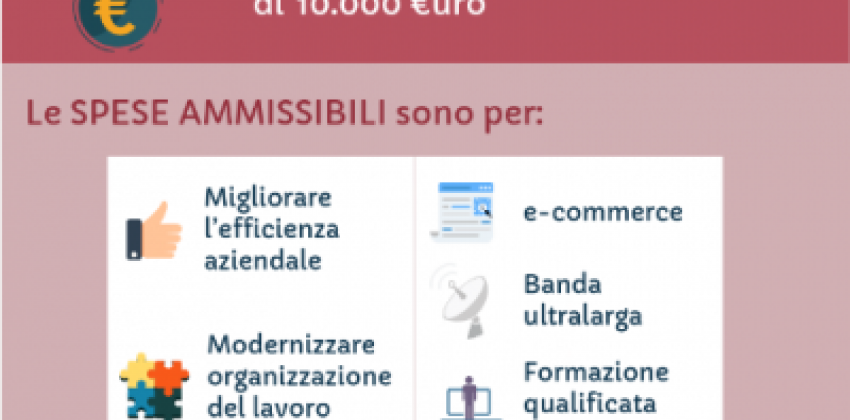 Voucher per la Digitalizzazione delle Pmi: 10.000€ alle Piccole e Medie Imprese